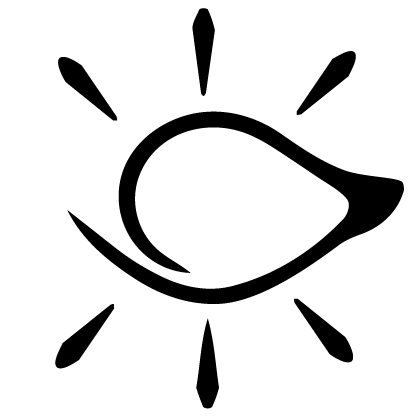 چشم